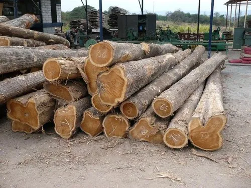 Teak Timbers